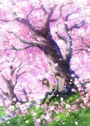 Romantic Cherry Blossom Scene: Japanese Anime Art Print - Premium Wooden Framed Poster. Ready to Hang.