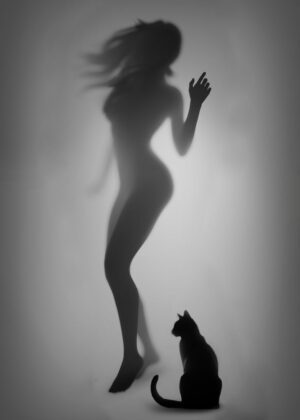 Silhouette Girl and Cat: A Monochromatic Study - Premium Wooden Framed Poster. Ready to Hang.