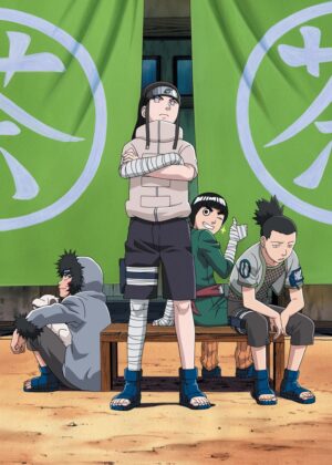 Naruto Konoha 12 Anime Artwork Print - Premium Wooden Framed Poster. Ready to Hang.