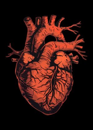 Anatomical Heart: A Darkly Beautiful Print - Premium Wooden Framed Poster. Ready to Hang.