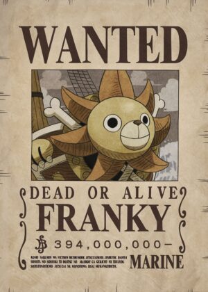 Franky One Piece Wanted Artwork - Premium Wooden Framed Poster. Ready to Hang.